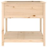 Jardinière avec étagère 82,5x82,5x81 cm Bois massif de pin – Image 4