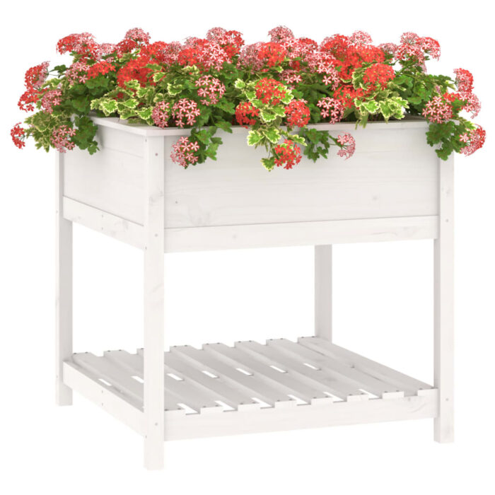 Jardinière avec étagère Blanc 82,5x82,5x81cm Bois massif de pin – Image 2