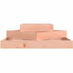 Jardinière 83x83x27 cm Bois de douglas massif – Image 2