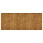 Lit surélevé de jardin 200x80x80 cm acier corten – Image 2