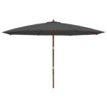 Parasol de jardin avec mât en bois anthracite 400x273 cm – Image 2