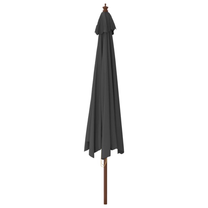 Parasol de jardin avec mât en bois anthracite 400x273 cm – Image 3