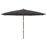 Parasol de jardin avec mât en bois noir 400x273 cm – Image 2