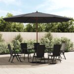 Parasol de jardin avec mât en bois noir 400x273 cm
