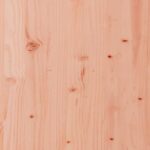 Canapé central 120x80 cm bois massif douglas – Image 5