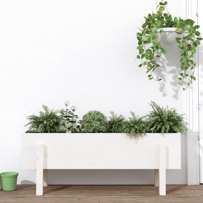 Lit surélevé de jardin blanc 101x30x38 cm bois de pin massif – Image 1