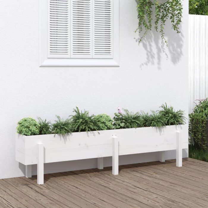 Lit surélevé de jardin blanc 160x30x38 cm bois de pin massif – Image 1
