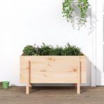 Lit surélevé de jardin 101x50x57 cm bois de pin massif
