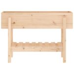 Lit surélevé de jardin 101x30x69 cm bois de pin massif – Image 2