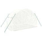 Serre avec cadre en acier blanc 6 m² 3x2x2 m – Image 4