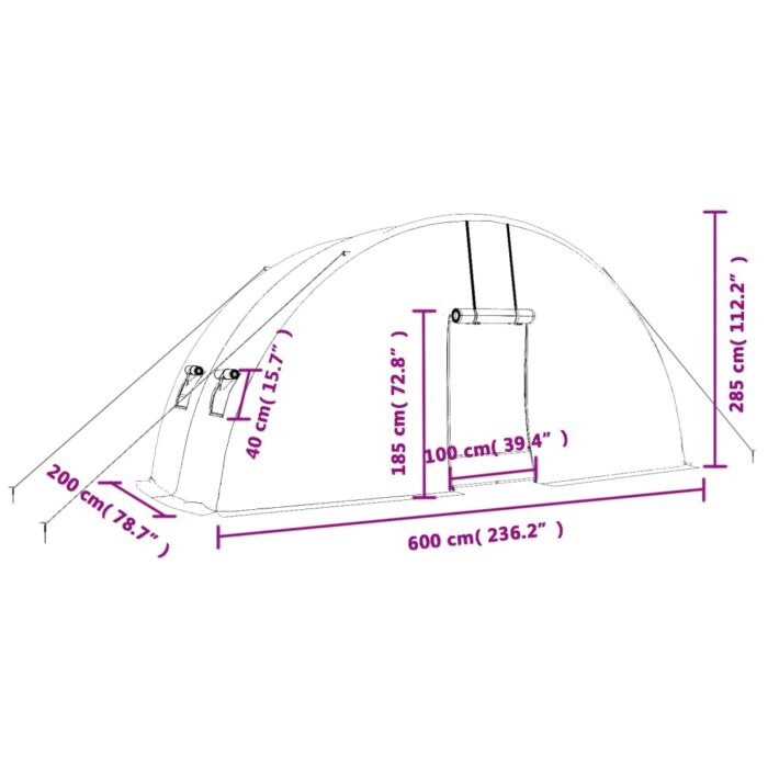 Serre avec cadre en acier vert 12 m² 6x2x2,85 m – Image 10