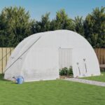 Serre avec cadre en acier blanc 12 m² 6x2x2,85 m