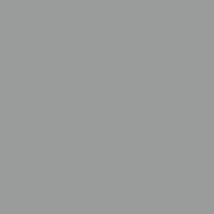 Abri de jardin avec toit prolongé gris clair 277x110,5x181 cm – Image 6