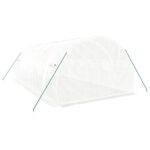 Serre avec cadre en acier blanc 18 m² 6x3x2 m – Image 4