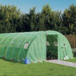 Serre avec cadre en acier vert 64 m² 16x4x2 m