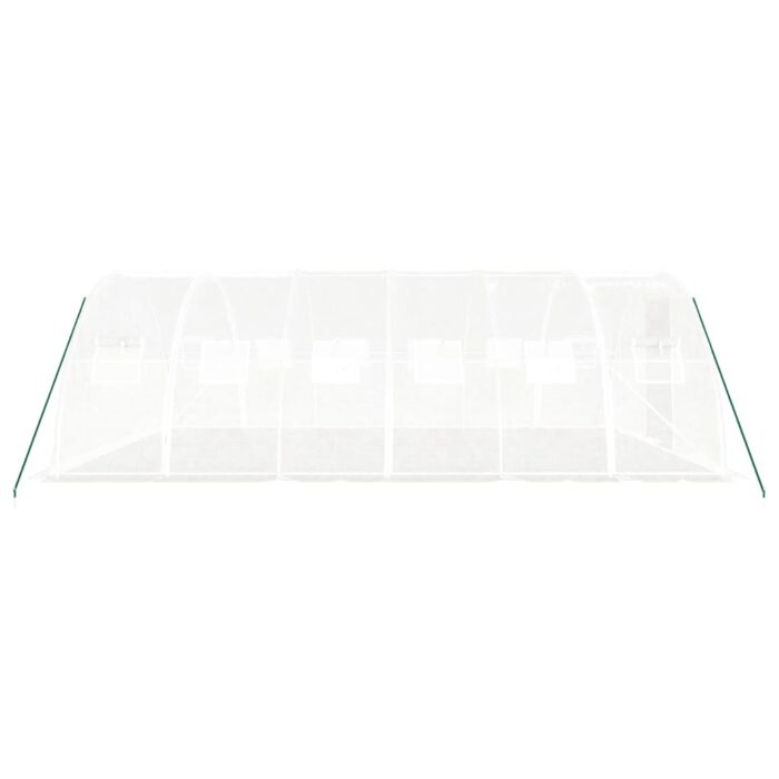 Serre avec cadre en acier blanc 24 m² 6x4x2 m – Image 3