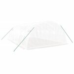 Serre avec cadre en acier blanc 24 m² 6x4x2 m – Image 4