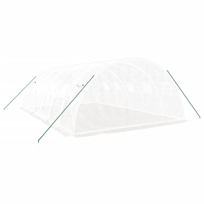 Serre avec cadre en acier blanc 24 m² 6x4x2 m – Image 4