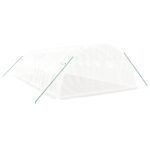 Serre avec cadre en acier blanc 32 m² 8x4x2 m – Image 4