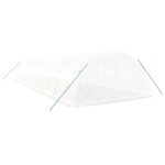 Serre avec cadre en acier blanc 48 m² 12x4x2 m – Image 4