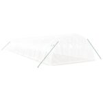 Serre avec cadre en acier blanc 64 m² 16x4x2 m – Image 4