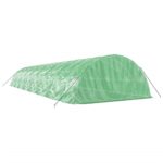 Serre avec cadre en acier vert 80 m² 16x5x2,3 m – Image 4