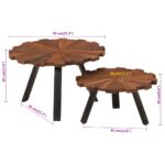 Tables basses 2 pcs bois massif récupéré et fer – Image 7