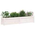 Jardinière blanc 150x31x31 cm bois massif de pin – Image 2