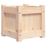Jardinières 2 pcs bois de pin massif – Image 3