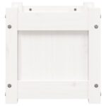 Jardinières 2 pcs blanc bois de pin massif – Image 4