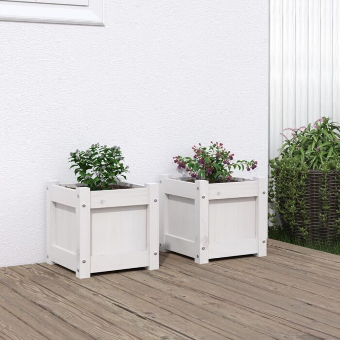 Jardinières 2 pcs blanc bois de pin massif – Image 1