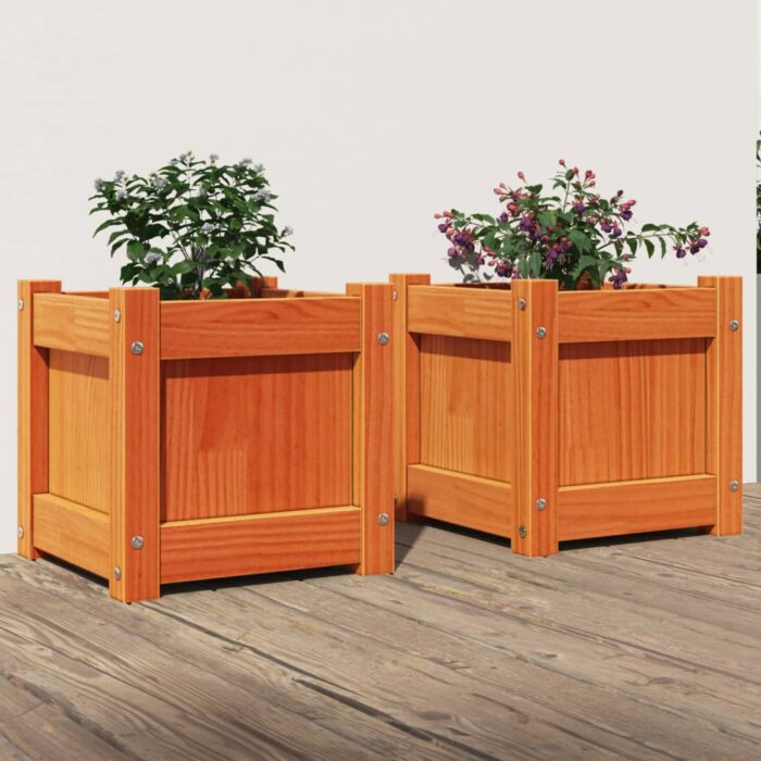 Jardinières 2 pcs cire marron bois de pin massif – Image 1