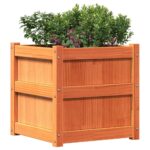 Jardinières 2 pcs cire marron bois de pin massif – Image 2
