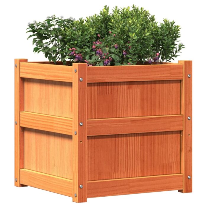 Jardinières 2 pcs cire marron bois de pin massif – Image 2