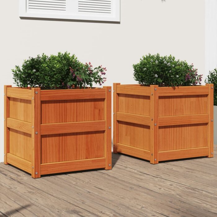 Jardinières 2 pcs cire marron bois de pin massif – Image 1