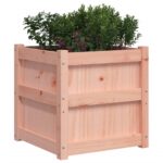 Jardinières 2 pcs bois massif douglas – Image 2