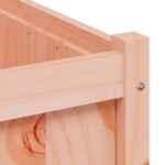 Jardinières 2 pcs bois massif douglas – Image 8