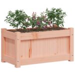 Jardinières 2 pcs bois massif douglas – Image 2