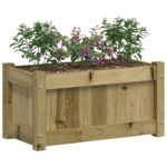 Jardinières 2 pcs bois de pin imprégné – Image 2