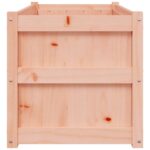 Jardinières 2 pcs bois massif douglas – Image 5