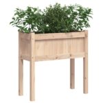 Jardinières avec pieds 70x31x70 cm bois de pin massif – Image 2