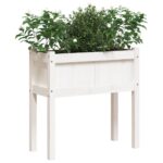 Jardinières avec pieds blanc 70x31x70 cm bois de pin massif – Image 2