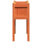 Jardinières et pieds cire marron 70x31x70 cm bois de pin massif – Image 4