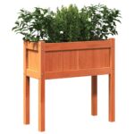 Jardinières 2 pcs avec pieds cire marron bois de pin massif – Image 2