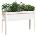 Jardinières avec pieds blanc 110x31x70 cm bois de pin massif – Image 2