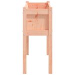 Jardinières 2 pcs avec pieds bois massif douglas – Image 4