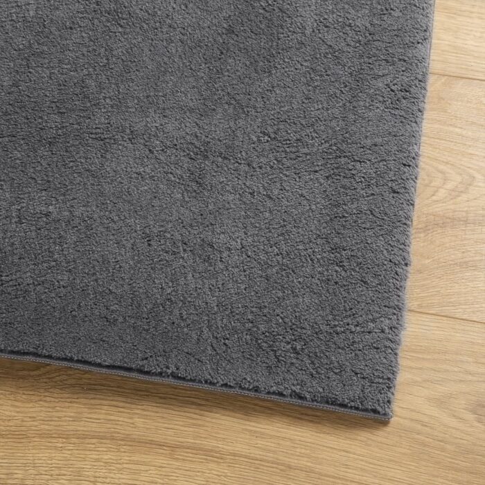 Tapis HUARTE à poils courts doux lavable anthracite 240x340 cm – Image 2