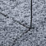 Tapis shaggy PAMPLONA poils longs moderne bleu 160x230 cm – Image 6