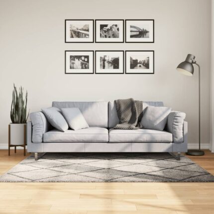 Tapis shaggy à poils longs moderne beige anthracite 120x170 cm