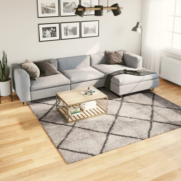Tapis shaggy à poils longs moderne beige anthracite 240x240 cm – Image 1